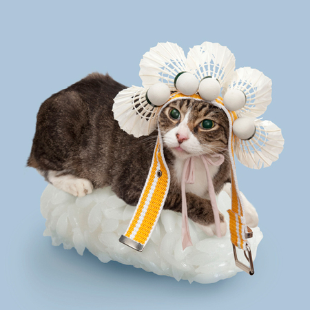 sushi cat